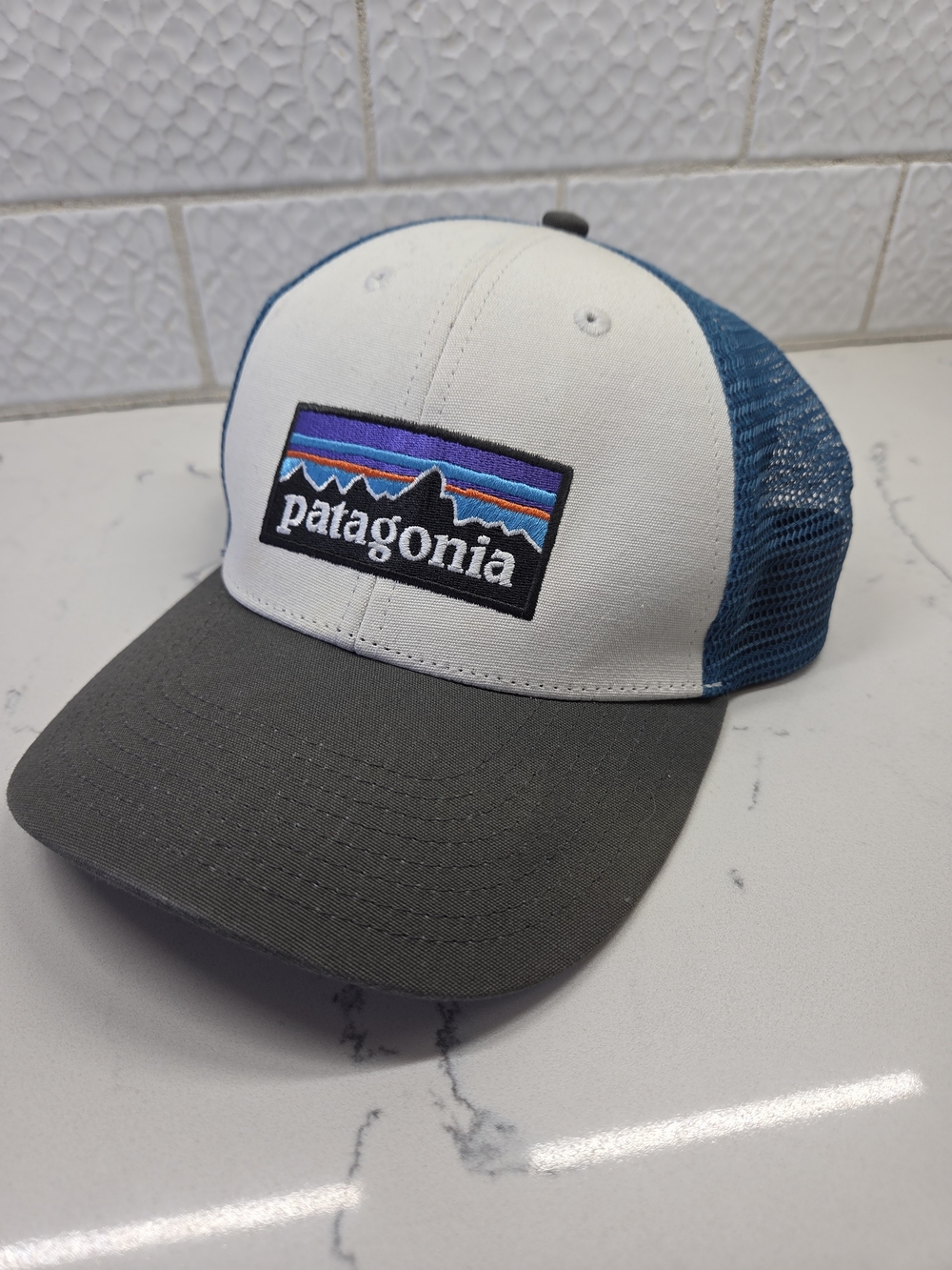 Patagonia P-6 Logo LoPro Trucker Hat - Blue & White